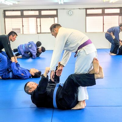 【引取限定】大型 マット ストレッチ 柔道 柔術 相撲 レスリング 投げ込み 柔道 投げ込みマット 二つ折り 200×200×厚10cm 格闘技の受身練習用