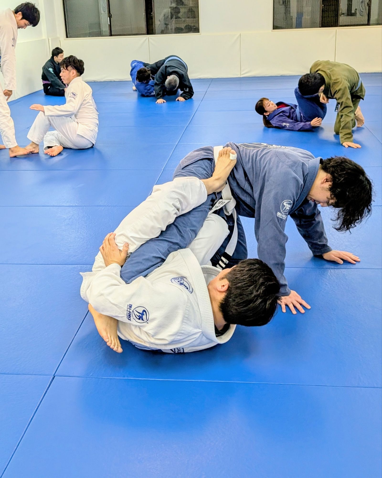 連携柔術 - トライフォース志木