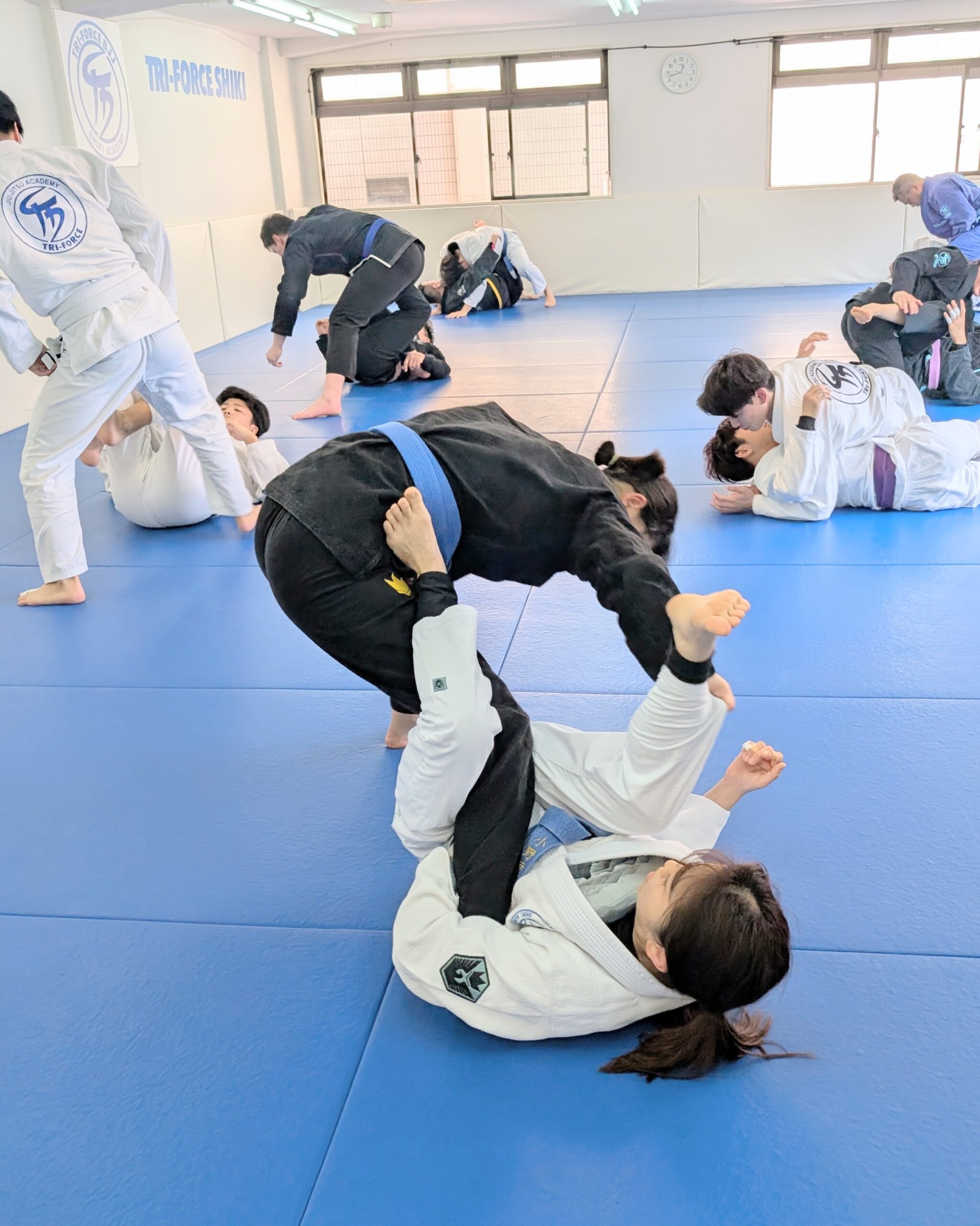 仲間を強くする柔術 - トライフォース志木 仲間を強くする柔術 - トライフォース志木